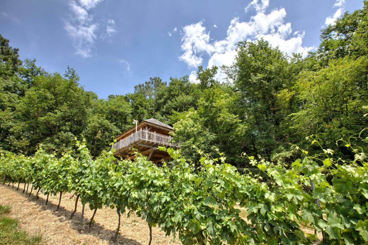 Les Cabanes Des Benauges Arbis 外观 照片